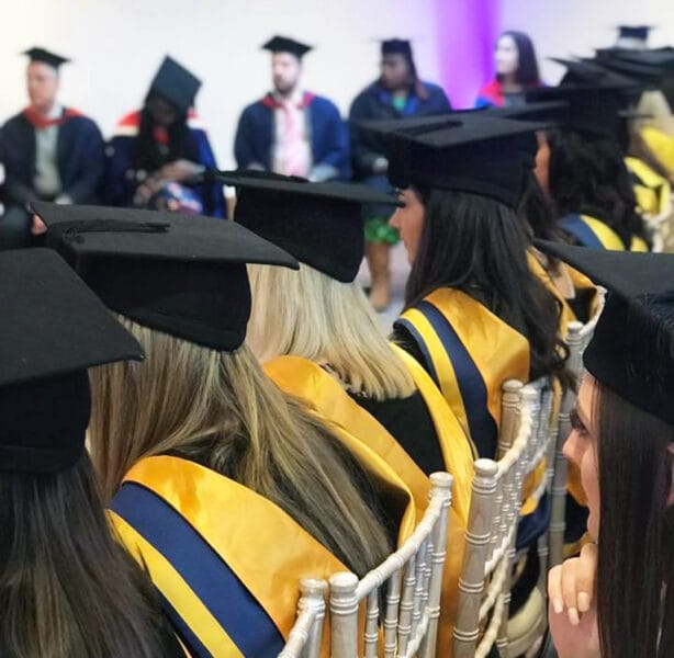 Higher Education Explained