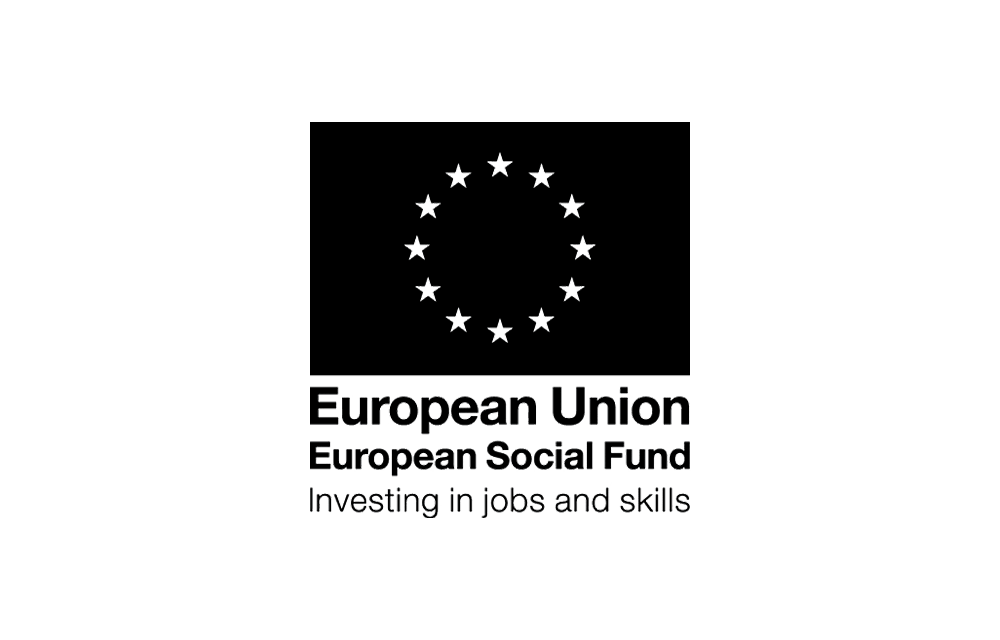 EU European Social Fund Logo